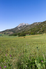 Fototapeta premium Arco Calizo Central, Alfarnate (Málaga) - Trekking Day