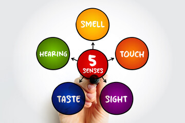 Five basic human senses: touch, sight, hearing, smell and taste,  mind map concept for...