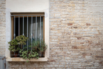 Fototapeta na wymiar window with flowers in a house