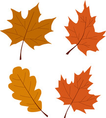 Naklejka na ściany i meble Autumn leaves. Different forms and colors. Leaves falling. Vector illustration