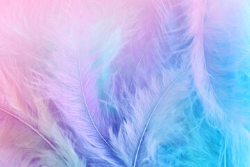 Background of delicate pastel feathers