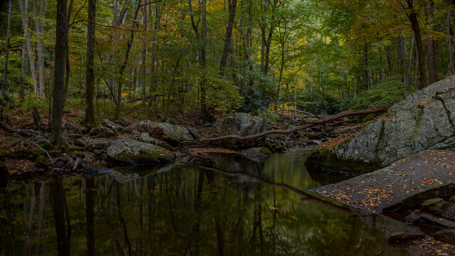 Cascading creek in the autumn forest © Timothy