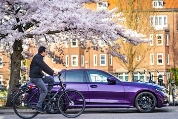 Purple classic car side view near the purple blossom tree sakura. Soul of Amsterdam