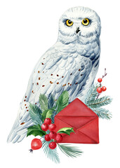 Christmas holiday bird, cute arctic owl and red envelope, colored watercolor illustration