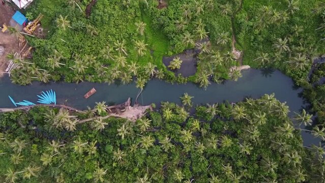Maasin River bent Coconut palm tree rope swing on Siargao island. Aerial