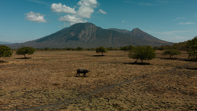 Baluran National Park