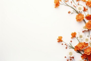 Orange and white flowers on a white background