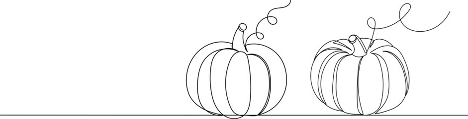 pumpkin line drawing, sketch, vector