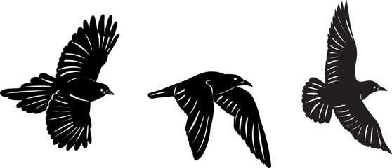 flying birds, black silhouette, vector