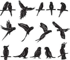 set of parrots, black silhouette, vector