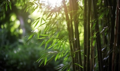 Bamboo _ Generative AI