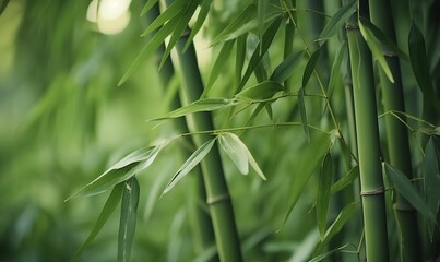 Bamboo _ Generative AI