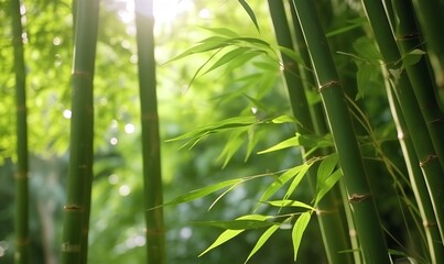 Fototapeta na wymiar Bamboo _ Generative AI