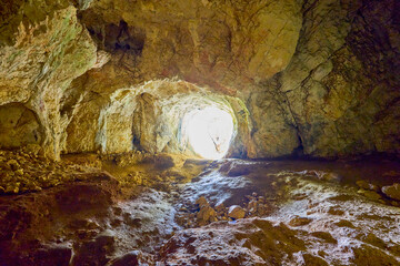 Bat cave in Bran Romania, Carpathian Mountains.