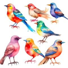 Obraz premium set of watercolor birds isolated