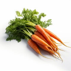 A bundle of fresh, orange carrots