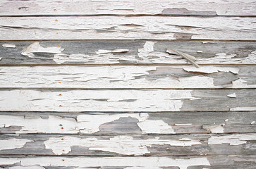 Rough crackled paint on wooden boards, white color paint peeling off, horizontal wood boards.