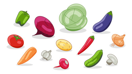 Vegetarian menu made of vegetables radish