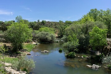 Fototapeta na wymiar Scenic view of the Lozoya river surrounded by lush greenery on a sunny day in Madrid, Spain