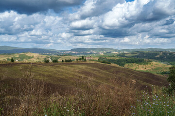 Rural landscape in Val d Orcia, Tuscany, at summer
