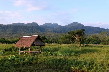 Rustic outbuilding  in a lush grassy field on a sunny day