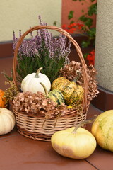 The entrance to the house, decorated for autumn, with pumpkins, heather and hydrangeas.