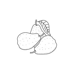 Doodle pears, black outline on a white background. Linear vector drawing isolated on white background
