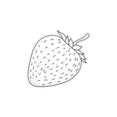 fresh strawberries berries doodle style. illustration black on white background