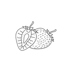 fresh strawberries berries doodle style. illustration black on white background