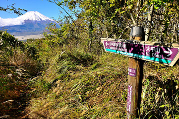 道志山塊の飯盛山山頂より望む富士山
