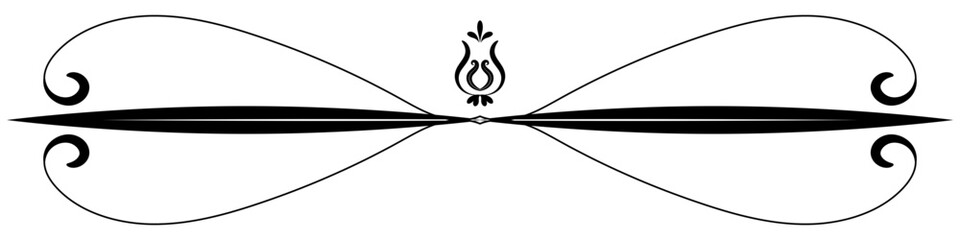 Fototapeta premium Vintage lines. Decorative elements. Border flower collection.