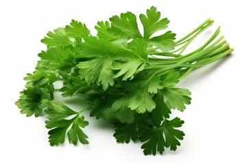 Fresh celery leaves with stalks and white background generative ai