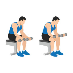 Obraz na płótnie Canvas Man doing seated dumbbell palm up wrist curls or forearm curls. Flat vector illustration isolated on white background