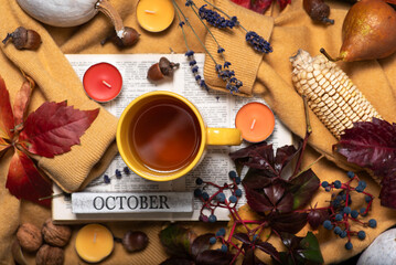 Fototapeta na wymiar Autumn theme with autumn fruits and colors
