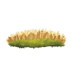 Grass field with fern watercolor border illustration for decoration on nature landscape .