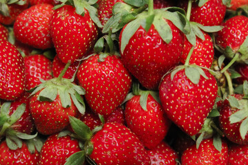 strawberries on a market