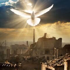 White peace dove flies over destroyed city - 660467303