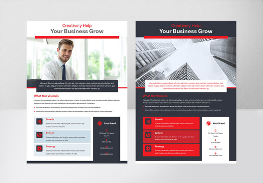 Corporate Flyer with Two Color Schemes