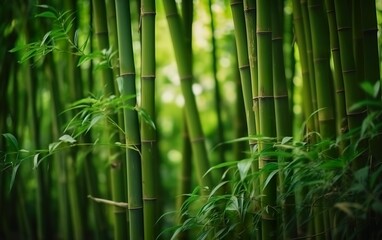 Green bamboo shoots grow against the background. AI, Generative AI