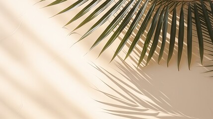Obraz premium Palm leaf shadows on a white wall and cream pastel floor Abstract background with palm leaf shadows for a creative summer minimal mock up Neutral tropical palm mockup on a light geometric backd