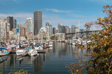 Yacht harbor of Vancouver on a sunny summers day