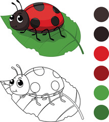 Kids coloring book, ladybug cartoon