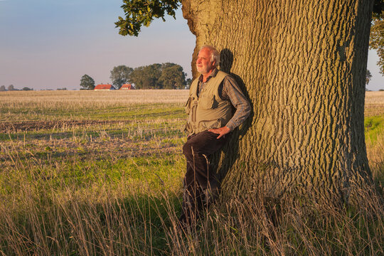 An elderly man leans against the mighty trunk of an oak tree, basking in the evening sun, savoring nature's tranquility.