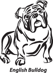 brush feuille originale Monicablack and white dogs English bulldog breed design line art most popular brush stroke freehand draw vector illustration