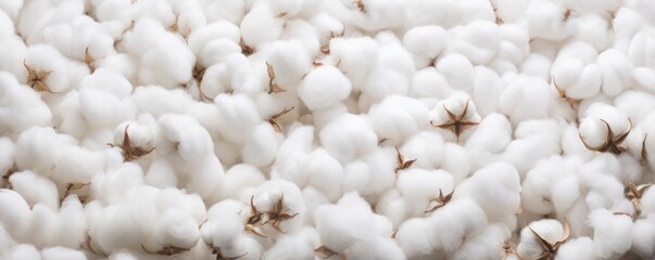 soft cotton background close up