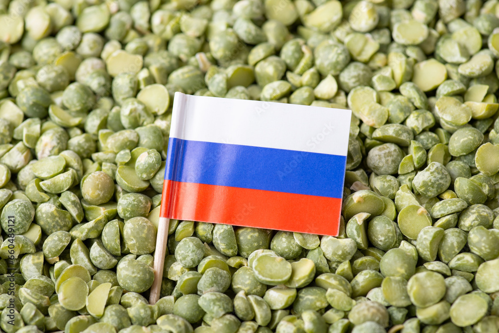 Poster Flag of Russia in green pea. Concept of origin of pea grain, agribusiness in Russia