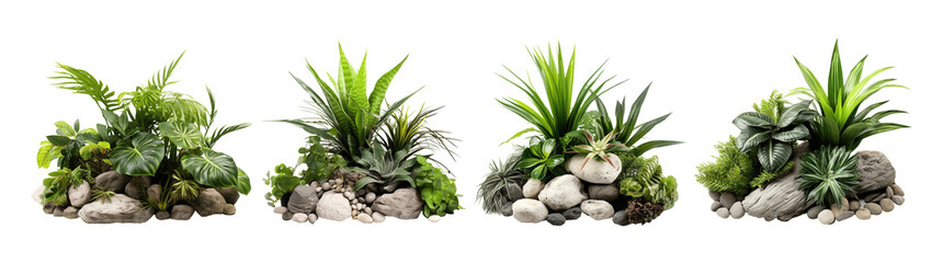 Collection of set Tropical bush with decorative stones, floral arrangement in garden's natural design isolated on transparent background. PNG file, cut out - obrazy, fototapety, plakaty