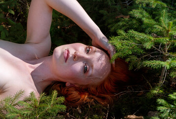 portrait of sexy young naked redhead woman lying on forest ground between small spruce trees