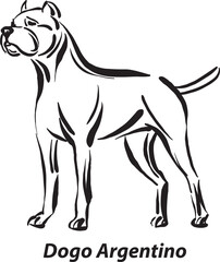 black and white dogs Dogo Argentino breed design line art most popular brush stroke freehand draw vector illustration