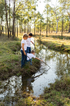Aussie kids playing with sticks in water of creek through paddock